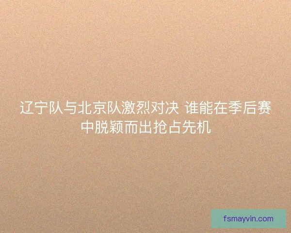 辽宁队与北京队激烈对决 谁能在季后赛中脱颖而出抢占先机